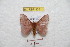  ( - BC-RBP 9341)  @13 [ ] Copyright (2015) Ron Brechlin Research Collection of Ron Brechlin