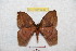  ( - BC-RBP 9343)  @11 [ ] Copyright (2015) Ron Brechlin Research Collection of Ron Brechlin