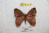  ( - BC-RBP 9345)  @13 [ ] Copyright (2015) Ron Brechlin Research Collection of Ron Brechlin