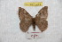 ( - BC-RBP 9354)  @13 [ ] Copyright (2015) Ron Brechlin Research Collection of Ron Brechlin