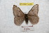  ( - BC-RBP 9366)  @12 [ ] Copyright (2015) Ron Brechlin Research Collection of Ron Brechlin