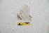  ( - BC-RBP 12232)  @11 [ ] copyright (2021) Ron Brechlin Research Collection of Ron Brechlin