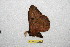  ( - BC-RBP 12246)  @11 [ ] copyright (2021) Ron Brechlin Research Collection of Ron Brechlin