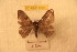  ( - BC-RBP 9381)  @12 [ ] Copyright (2015) Ron Brechlin Research Collection of Ron Brechlin