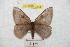  ( - BC-RBP 9384)  @14 [ ] Copyright (2015) Ron Brechlin Research Collection of Ron Brechlin