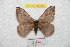  ( - BC-RBP 9386)  @13 [ ] Copyright (2015) Ron Brechlin Research Collection of Ron Brechlin