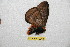  ( - BC-RBP 12261)  @11 [ ] copyright (2021) Ron Brechlin Research Collection of Ron Brechlin