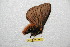  ( - BC-RBP 12262)  @11 [ ] copyright (2021) Ron Brechlin Research Collection of Ron Brechlin