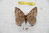  ( - BC-RBP 9405)  @13 [ ] Copyright (2015) Ron Brechlin Research Collection of Ron Brechlin