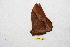  ( - BC-RBP 9408)  @12 [ ] Copyright (2015) Ron Brechlin Research Collection of Ron Brechlin