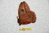  ( - BC-RBP 12282)  @11 [ ] copyright (2021) Ron Brechlin Research Collection of Ron Brechlin