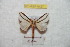  ( - BC-RBP 9427)  @12 [ ] Copyright (2015) Ron Brechlin Research Collection of Ron Brechlin