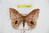  ( - BC-RBP 9428)  @13 [ ] Copyright (2015) Ron Brechlin Research Collection of Ron Brechlin