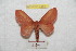  ( - BC-RBP 9444)  @14 [ ] Copyright (2015) Ron Brechlin Research Collection of Ron Brechlin