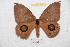  ( - BC-RBP 9477)  @13 [ ] Copyright (2015) Ron Brechlin Research Collection of Ron Brechlin