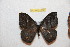  ( - BC-RBP 12327)  @11 [ ] copyright (2021) Ron Brechlin Research Collection of Ron Brechlin