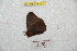  ( - BC-RBP 9481)  @12 [ ] Copyright (2015) Ron Brechlin Research Collection of Ron Brechlin
