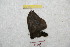  ( - BC-RBP 9482)  @12 [ ] Copyright (2015) Ron Brechlin Research Collection of Ron Brechlin