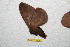  ( - BC-RBP 11073)  @11 [ ] Copyright (2018) Ron Brechlin Research Collection of Ron Brechlin