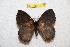  ( - BC-RBP 12338)  @11 [ ] copyright (2021) Ron Brechlin Research Collection of Ron Brechlin