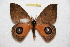  ( - BC-RBP 12344)  @11 [ ] copyright (2022) Ron Brechlin Research Collection of Ron Brechlin