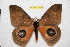  ( - BC-RBP 12346)  @11 [ ] copyright (2022) Ron Brechlin Research Collection of Ron Brechlin