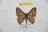  ( - BC-RBP 9496)  @14 [ ] Copyright (2015) Ron Brechlin Research Collection of Ron Brechlin