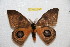  ( - BC-RBP 12347)  @11 [ ] copyright (2022) Ron Brechlin Research Collection of Ron Brechlin