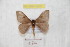 ( - BC-RBP 9500)  @12 [ ] Copyright (2015) Ron Brechlin Research Collection of Ron Brechlin