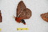  ( - BC-RBP 11087)  @11 [ ] Copyright (2018) Ron Brechlin Research Collection of Ron Brechlin