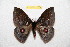  ( - BC-RBP 12354)  @11 [ ] copyright (2022) Ron Brechlin Research Collection of Ron Brechlin
