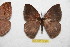  ( - BC-RBP 12361)  @11 [ ] copyright (2022) Ron Brechlin Research Collection of Ron Brechlin