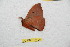  ( - BC-RBP 11100)  @11 [ ] Copyright (2018) Ron Brechlin Research Collection of Ron Brechlin