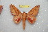  ( - BC-RBP 12369)  @11 [ ] copyright (2022) Ron Brechlin Research Collection of Ron Brechlin