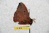  ( - BC-RBP 11110)  @11 [ ] Copyright (2018) Ron Brechlin Research Collection of Ron Brechlin