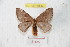  ( - BC-RBP 9543)  @12 [ ] Copyright (2015) Ron Brechlin Research Collection of Ron Brechlin