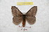  ( - BC-RBP 9550)  @11 [ ] Copyright (2015) Ron Brechlin Research Collection of Ron Brechlin