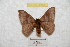  ( - BC-RBP 9553)  @11 [ ] Copyright (2015) Ron Brechlin Research Collection of Ron Brechlin