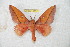  ( - BC-RBP 11141)  @11 [ ] Copyright (2018) Ron Brechlin Research Collection of Ron Brechlin