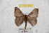  ( - BC-RBP 9594)  @14 [ ] Copyright (2015) Ron Brechlin Research Collection of Ron Brechlin