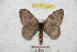  ( - BC-RBP 9598)  @14 [ ] Copyright (2015) Ron Brechlin Research Collection of Ron Brechlin