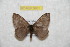  ( - BC-RBP 9601)  @11 [ ] Copyright (2015) Ron Brechlin Research Collection of Ron Brechlin