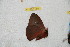  ( - BC-RBP 11167)  @13 [ ] Copyright (2018) Ron Brechlin Research Collection of Ron Brechlin