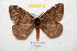  ( - BC-RBP 9633)  @11 [ ] Copyright (2015) Ron Brechlin Research Collection of Ron Brechlin