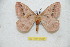  ( - BC-RBP 11214)  @13 [ ] Copyright (2018) Ron Brechlin Research Collection of Ron Brechlin