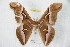  ( - BC-RBP 9653)  @13 [ ] Copyright (2015) Ron Brechlin Research Collection of Ron Brechlin