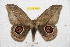  ( - BC-RBP 9668)  @14 [ ] Copyright (2015) Ron Brechlin Research Collection of Ron Brechlin