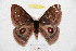  ( - BC-RBP 9684)  @13 [ ] Copyright (2015) Ron Brechlin Research Collection of Ron Brechlin