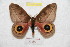  ( - BC-RBP 9686)  @14 [ ] Copyright (2015) Ron Brechlin Research Collection of Ron Brechlin