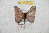  ( - BC-RBP 9689)  @14 [ ] Copyright (2015) Ron Brechlin Research Collection of Ron Brechlin
